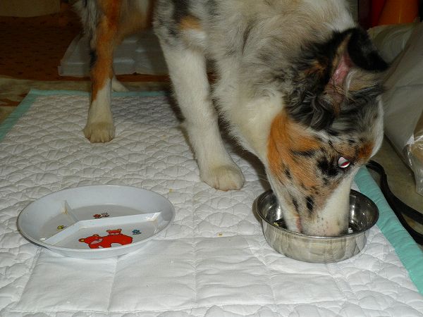 f:id:ell-blog:20111226003642j:image f:id:ell-blog:20111226003642j:image