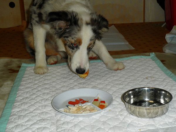 f:id:ell-blog:20111226003643j:image f:id:ell-blog:20111226003643j:image