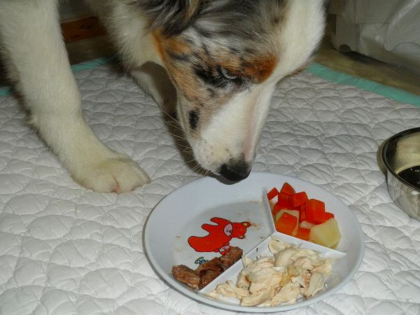 f:id:ell-blog:20111226003644j:image f:id:ell-blog:20111226003644j:image
