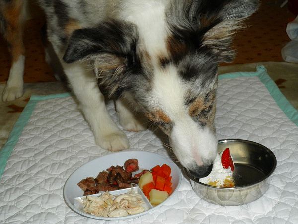 f:id:ell-blog:20111226003645j:image f:id:ell-blog:20111226003645j:image