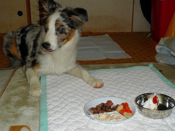 f:id:ell-blog:20111226003646j:image f:id:ell-blog:20111226003646j:image