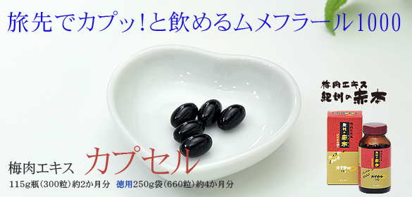 血液をサラサラにすることにより<br>
身体の中から活力がわきます<br>
飲み続けることで<br>
インフルエンザの予防も・・・ 梅肉エキスカプセル