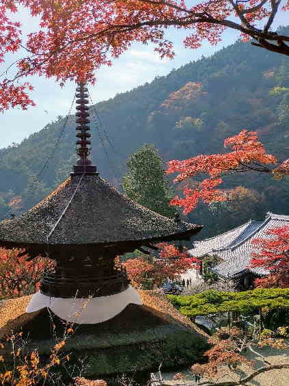 多宝塔