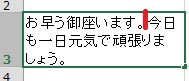 Ecelのセル内の文章No.2