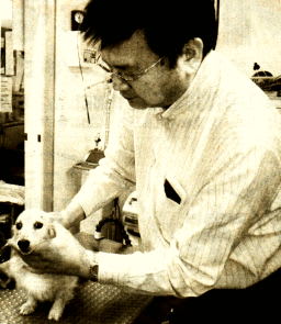歯周病の犬を診る幅田さん