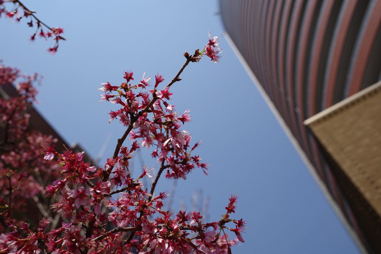 f:id:elleairtissue:20190320073007j:image f:id:elleairtissue:20190320073007j:image