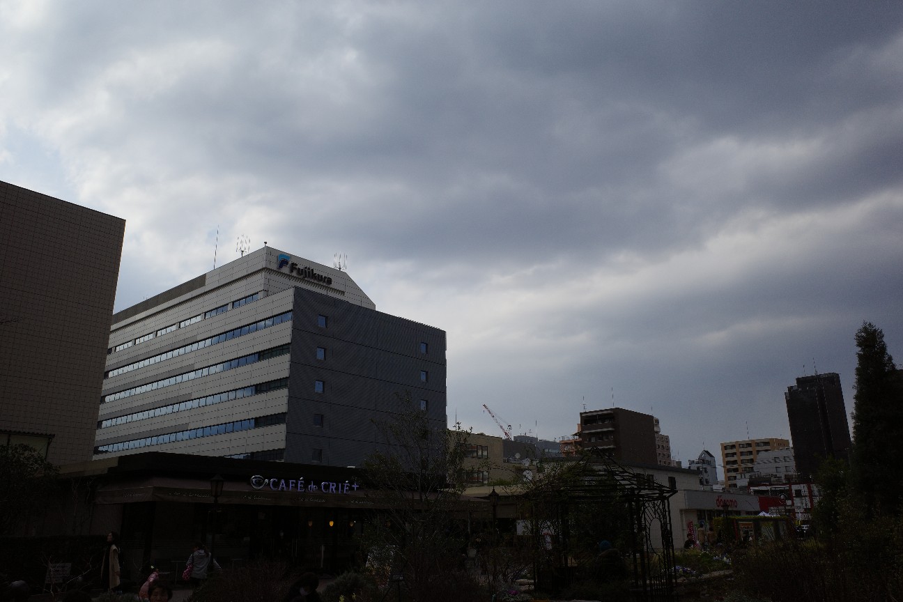 f:id:elleairtissue:20190320073113j:image f:id:elleairtissue:20190320073113j:image