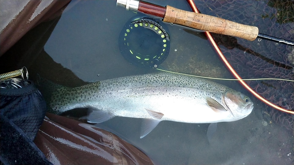 北海道 How To 渚滑川の釣り 大きいニジマスを間違いなく釣りたいなら さっぽろ発 ９割がグルメ記事