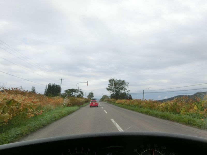 f:id:ellelo:20211021221317j:plain