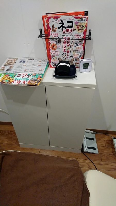 f:id:ellelo:20211104203942j:plain