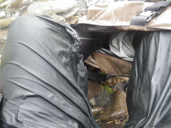 f:id:ellelo:20211104203954j:plain