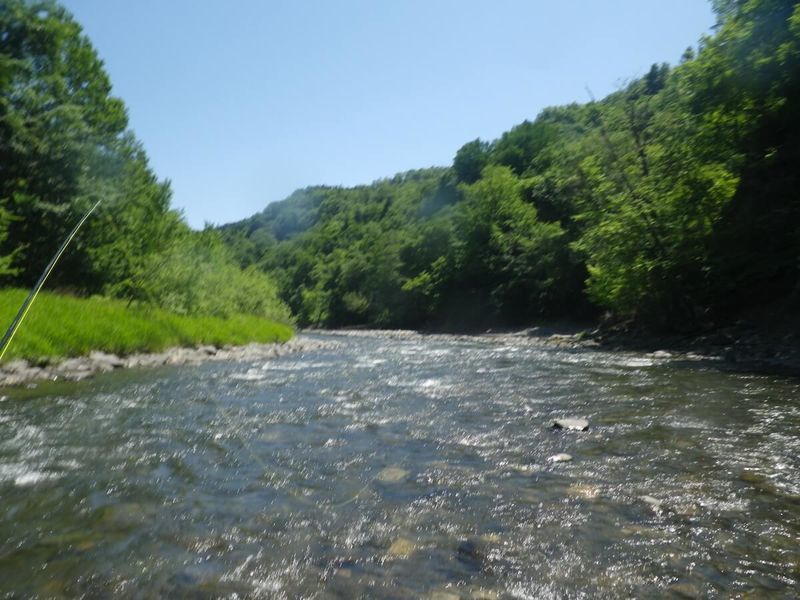 f:id:ellelo:20211104203957j:plain