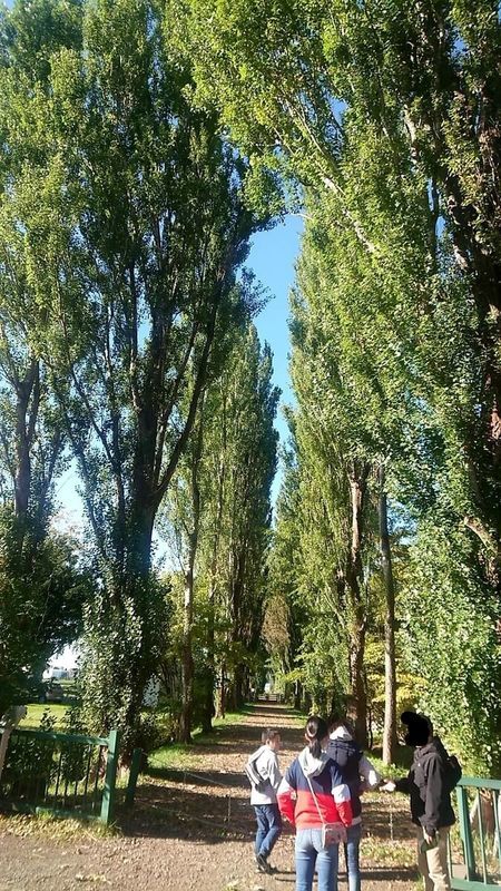 f:id:ellelo:20211107072348j:plain