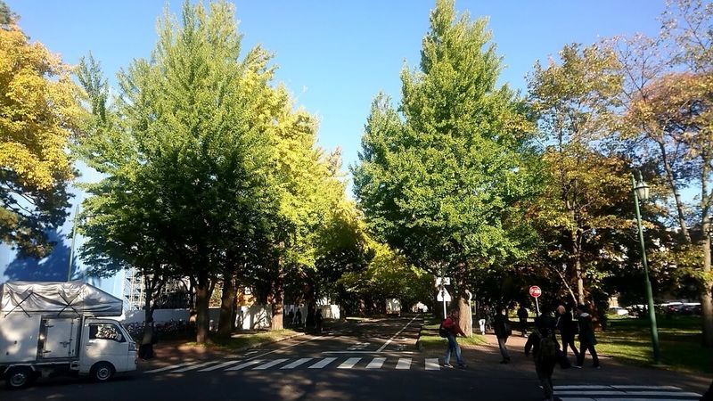 f:id:ellelo:20211107072411j:plain