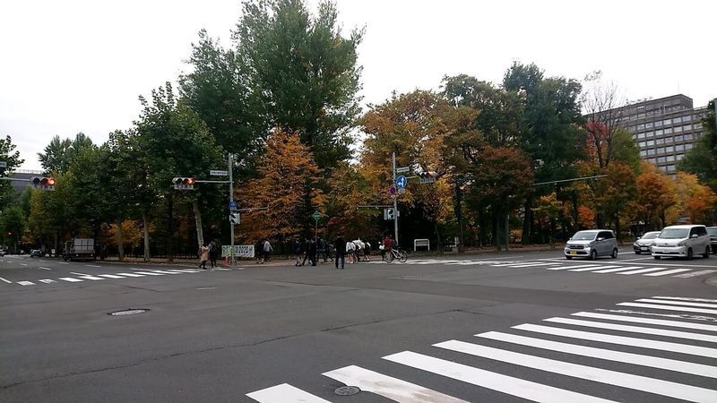 f:id:ellelo:20211107224211j:plain