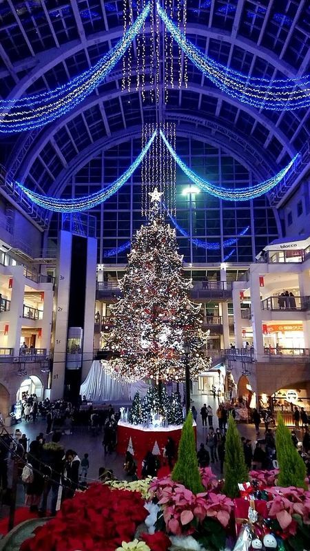 f:id:ellelo:20211110075333j:plain