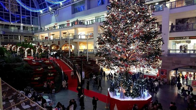 f:id:ellelo:20211110075337j:plain