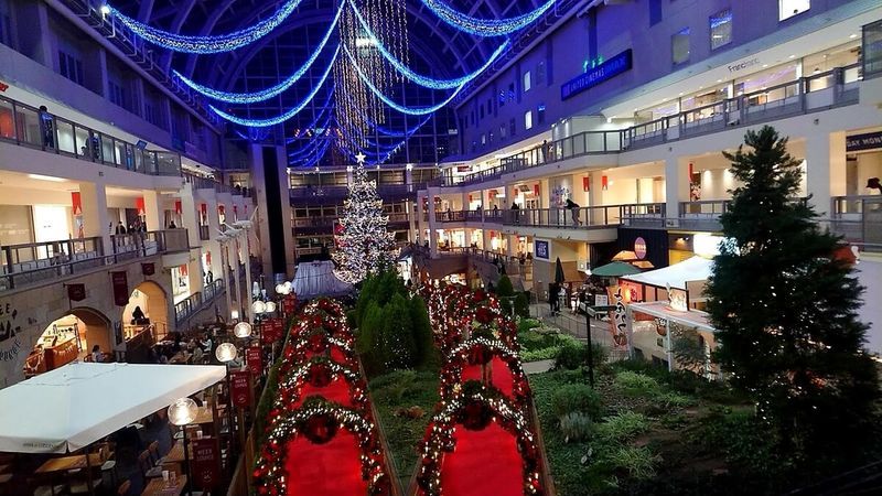 f:id:ellelo:20211110075341j:plain