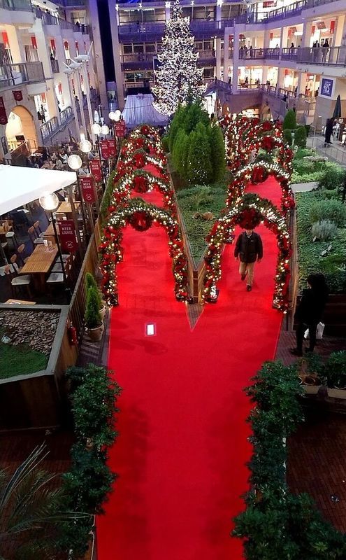 f:id:ellelo:20211110075344j:plain