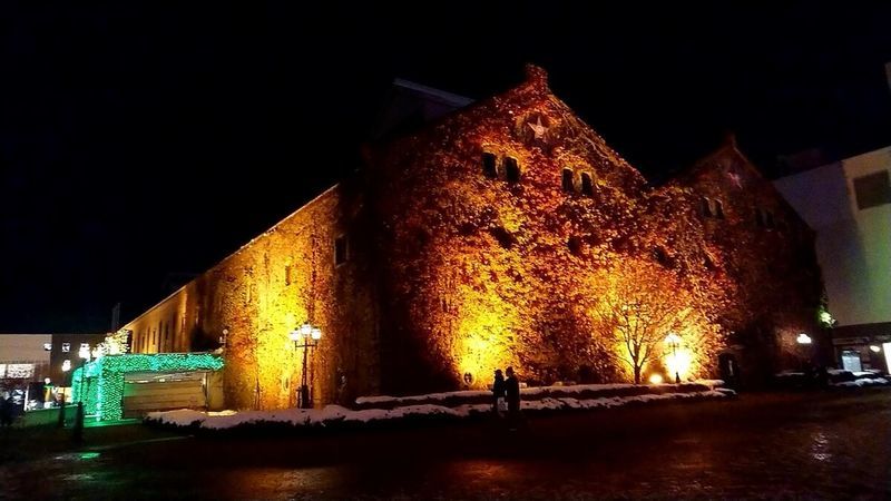 f:id:ellelo:20211110075356j:plain