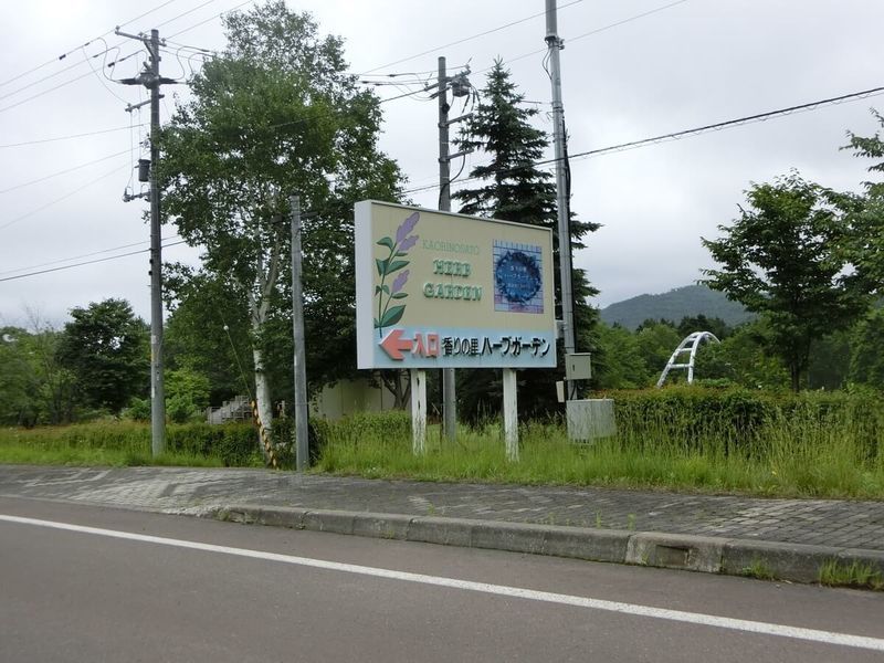 f:id:ellelo:20220107071625j:plain