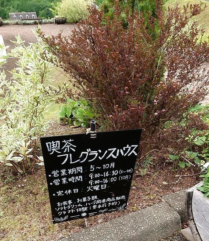 f:id:ellelo:20220107071641j:plain