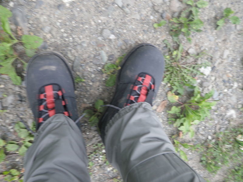 f:id:ellelo:20220112001537j:plain