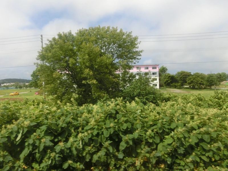 f:id:ellelo:20220123171316j:plain