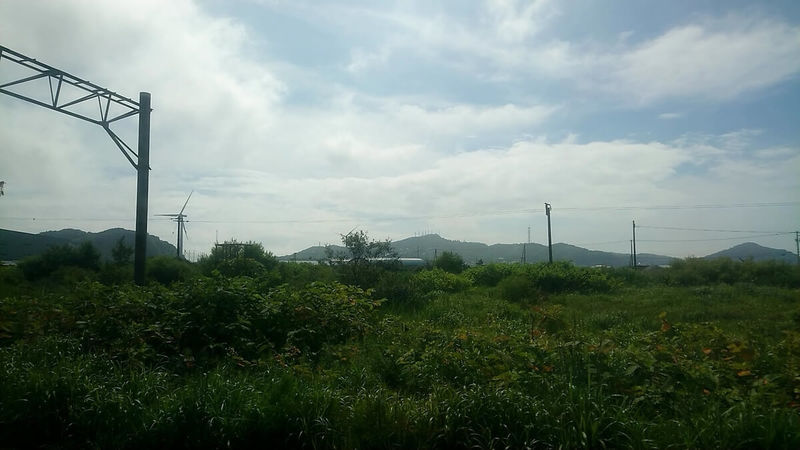 f:id:ellelo:20220123171348j:plain