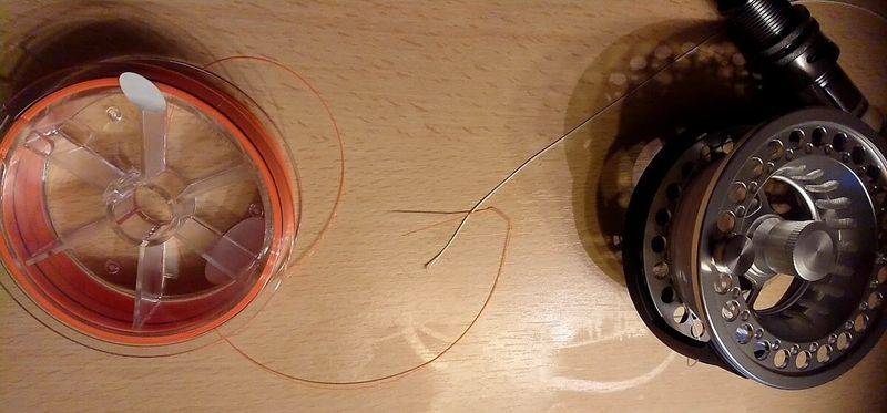 f:id:ellelo:20220129202341j:plain