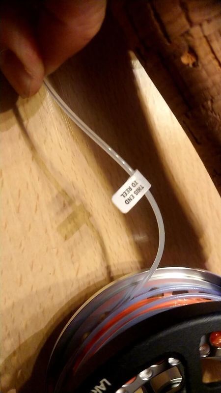 f:id:ellelo:20220129202355j:plain