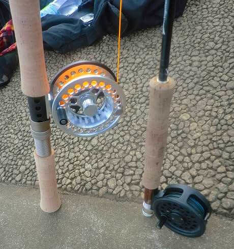 f:id:ellelo:20220129202455j:plain