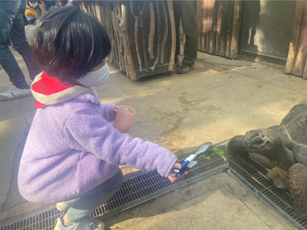 f:id:ellenyannyan:20220521201309j:image f:id:ellenyannyan:20220521201309j:image