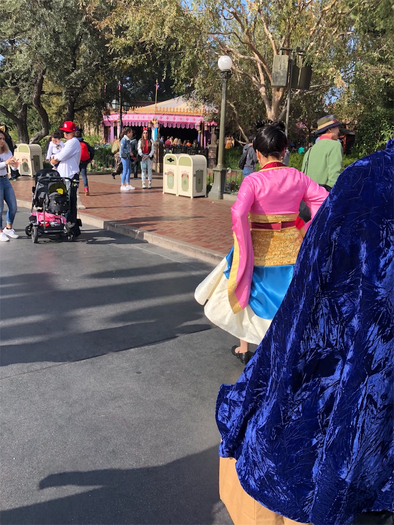 Dlr ４日目 プリンセスたちとグリ Wdw 年越し 旅行記 18 19