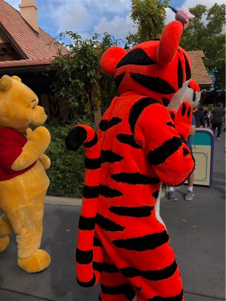 f:id:elliex:20190127174441j:image f:id:elliex:20190127174441j:image