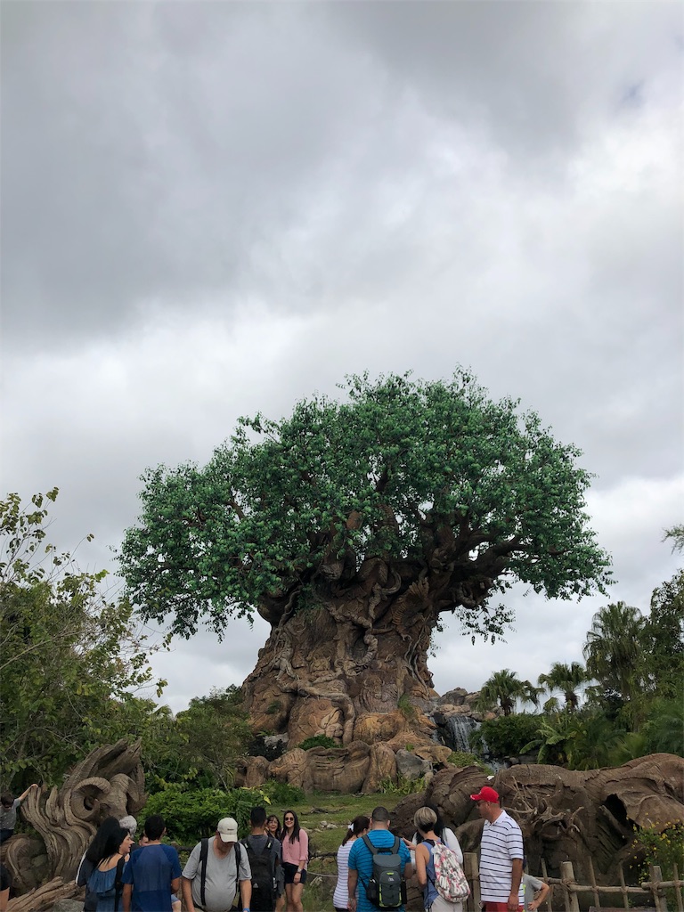 f:id:elliex:20190211163852j:image f:id:elliex:20190211163852j:image