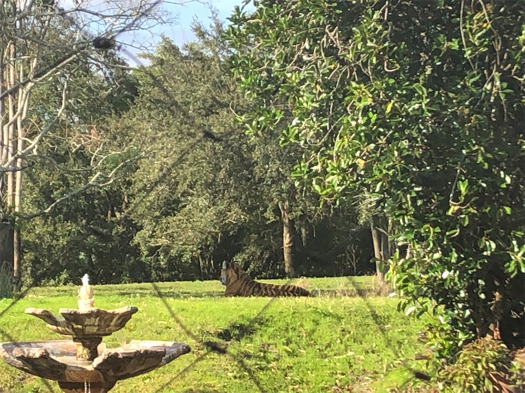 f:id:elliex:20190211163858j:image f:id:elliex:20190211163858j:image