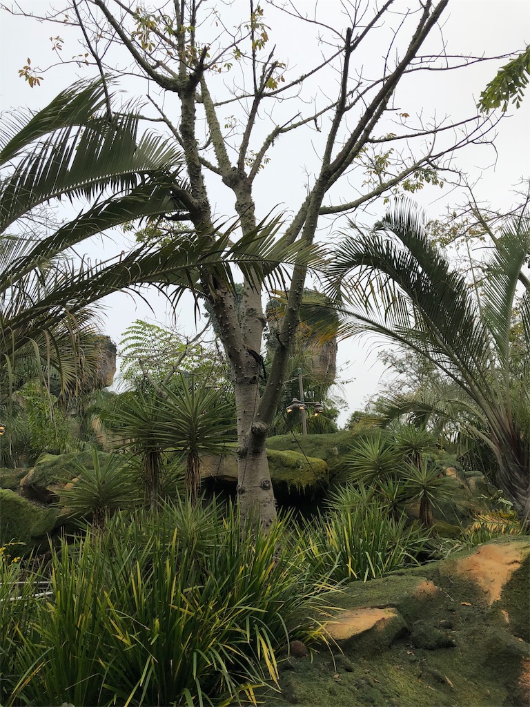 f:id:elliex:20190211164306j:image f:id:elliex:20190211164306j:image