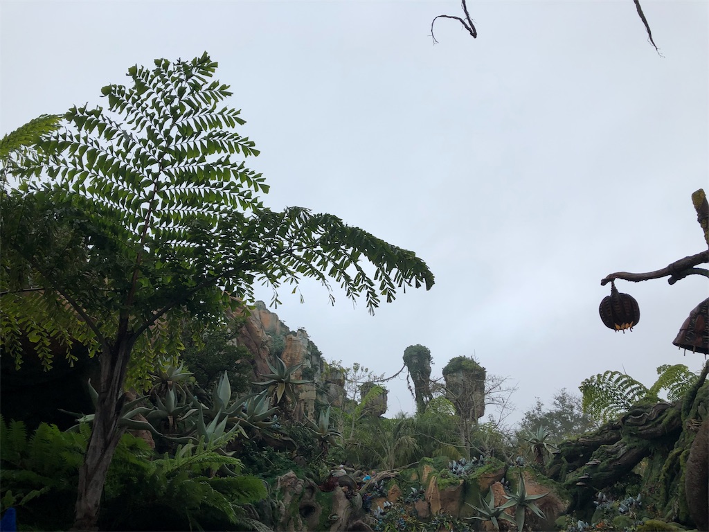 f:id:elliex:20190211164311j:image f:id:elliex:20190211164311j:image
