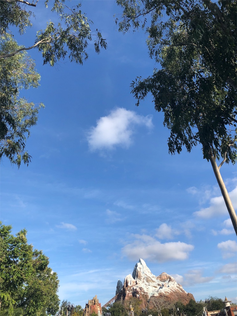 f:id:elliex:20190211164340j:image f:id:elliex:20190211164340j:image