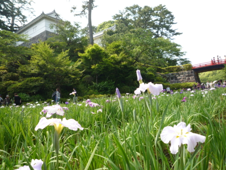 f:id:ellya:20110604143530j:image