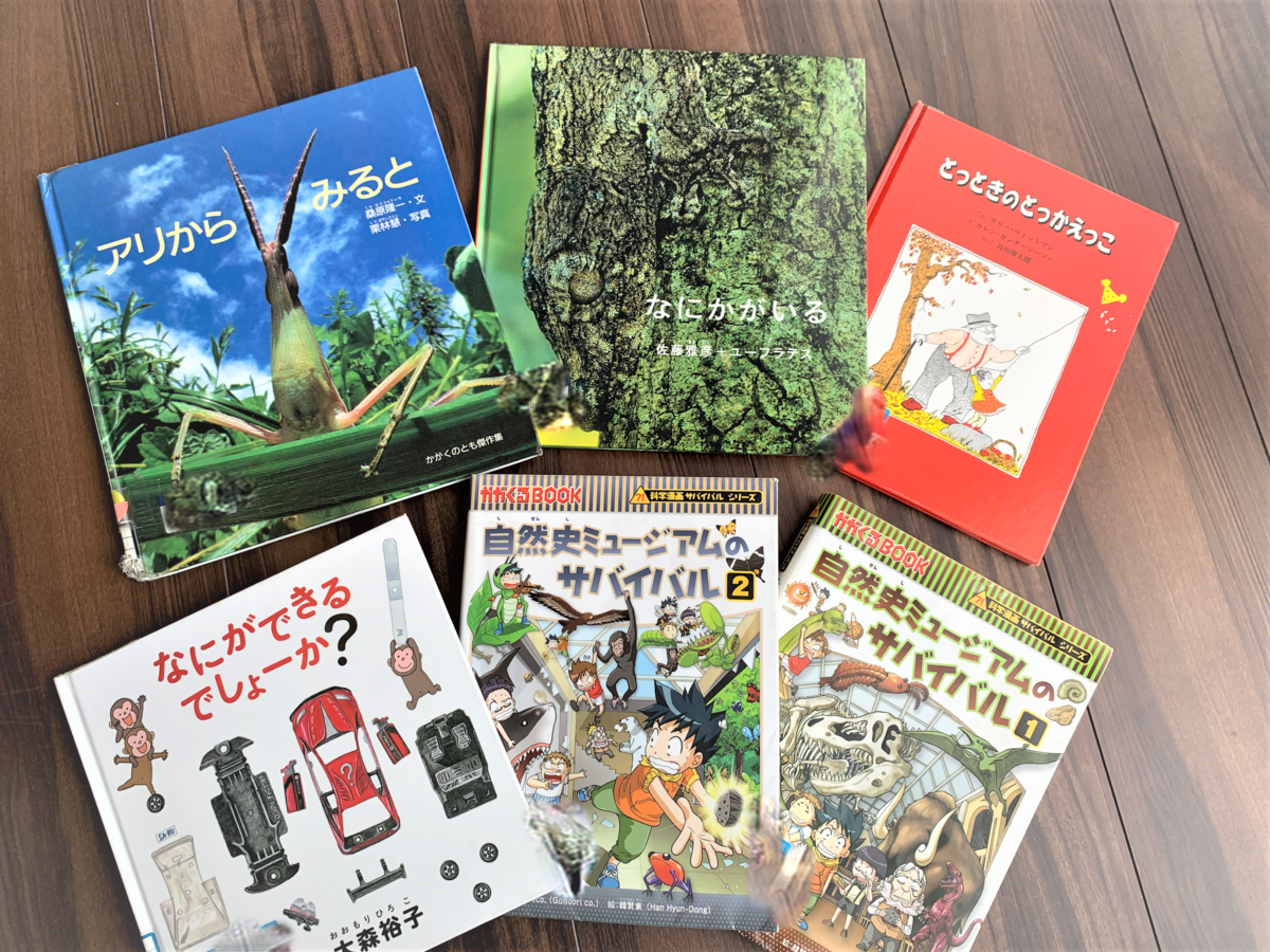 １年生おすすめ絵本