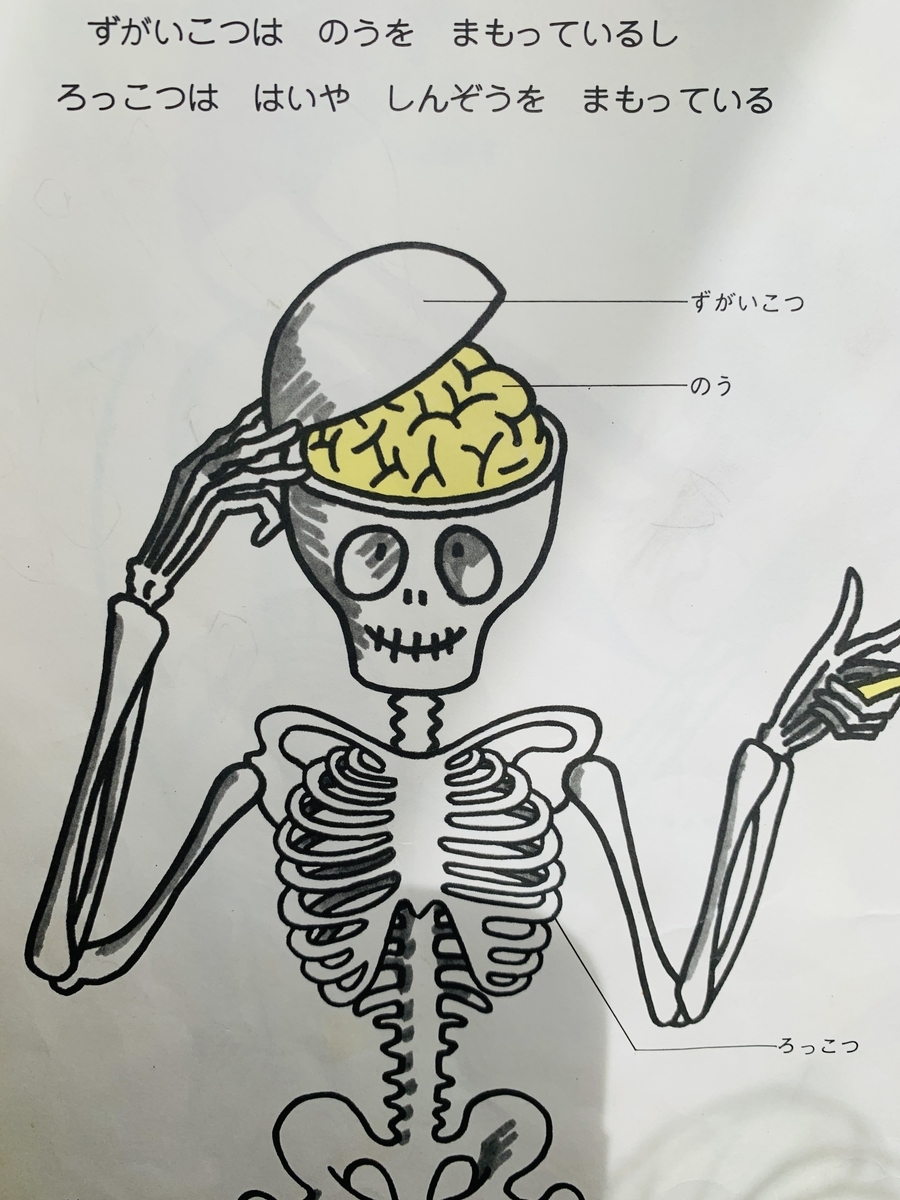 おすすめ知識絵本
