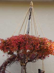 f:id:elmikamino:20061110005733j:image f:id:elmikamino:20061110005733j:image