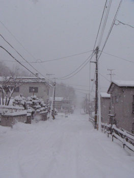 f:id:elmikamino:20061224135725j:image