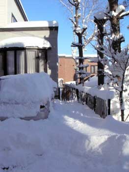 f:id:elmikamino:20070109121952j:image