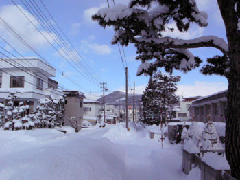 f:id:elmikamino:20070109122015j:image