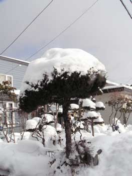 f:id:elmikamino:20070113125428j:image