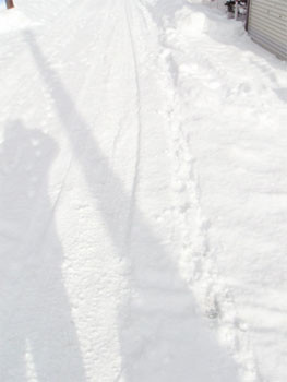 f:id:elmikamino:20070113125626j:image