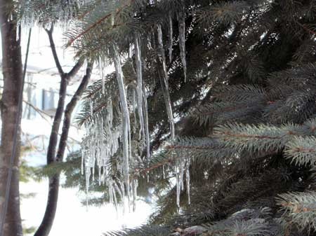 f:id:elmikamino:20070122134057j:image